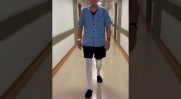 elachista epembatike rompotike